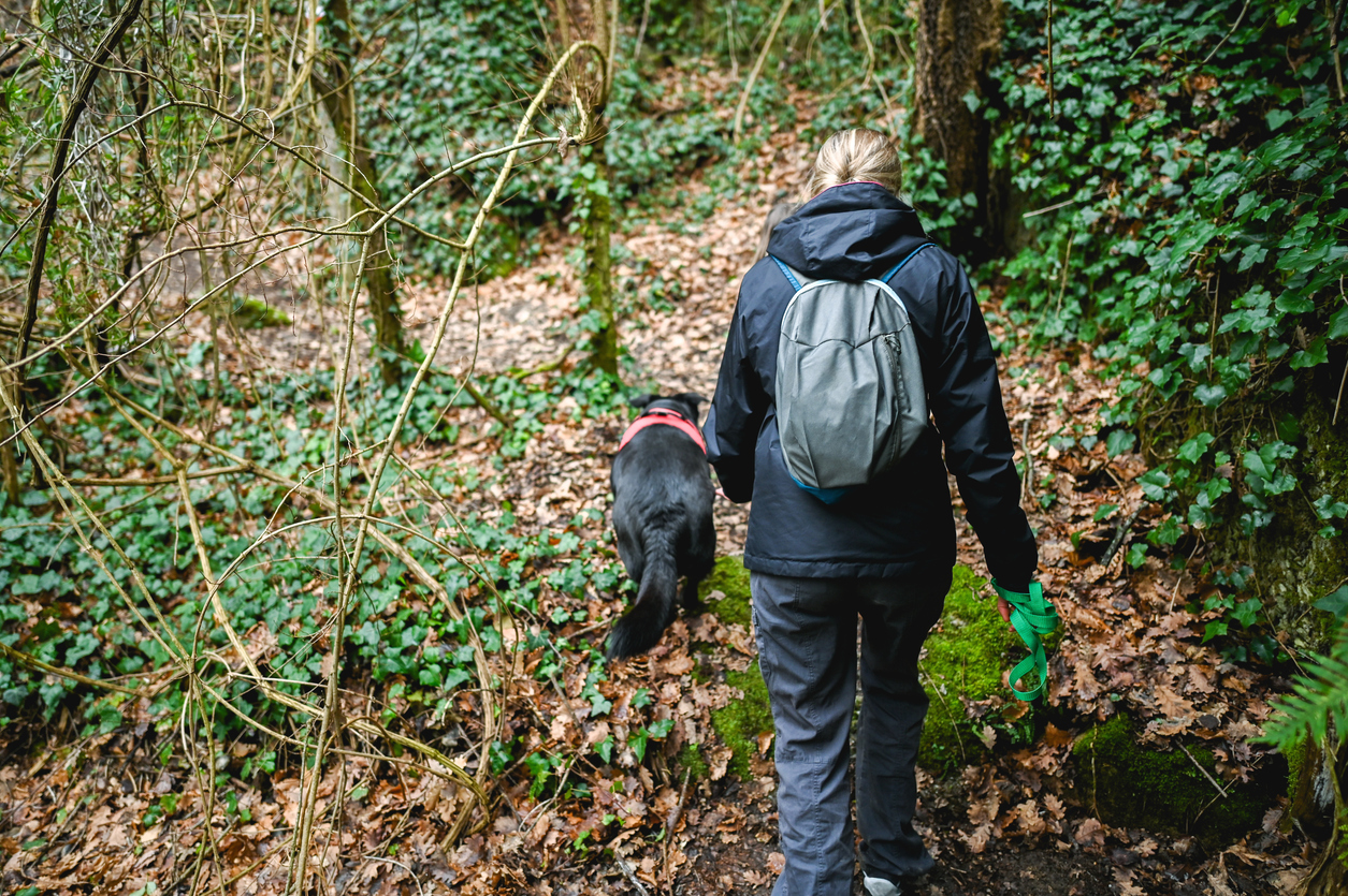 Το κυνήγι της τρούφας στα δάση του Ελληνικού βορρά 