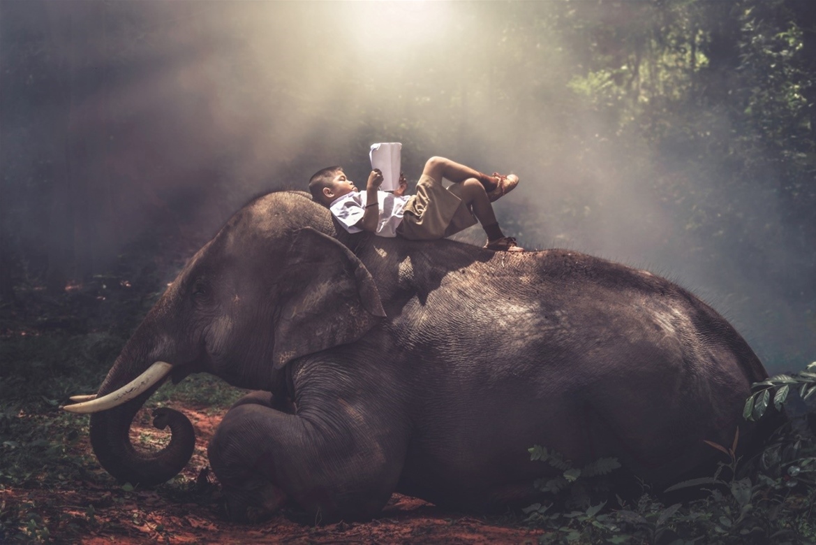 Το βιβλίο της ζούγκλας...Ινδία